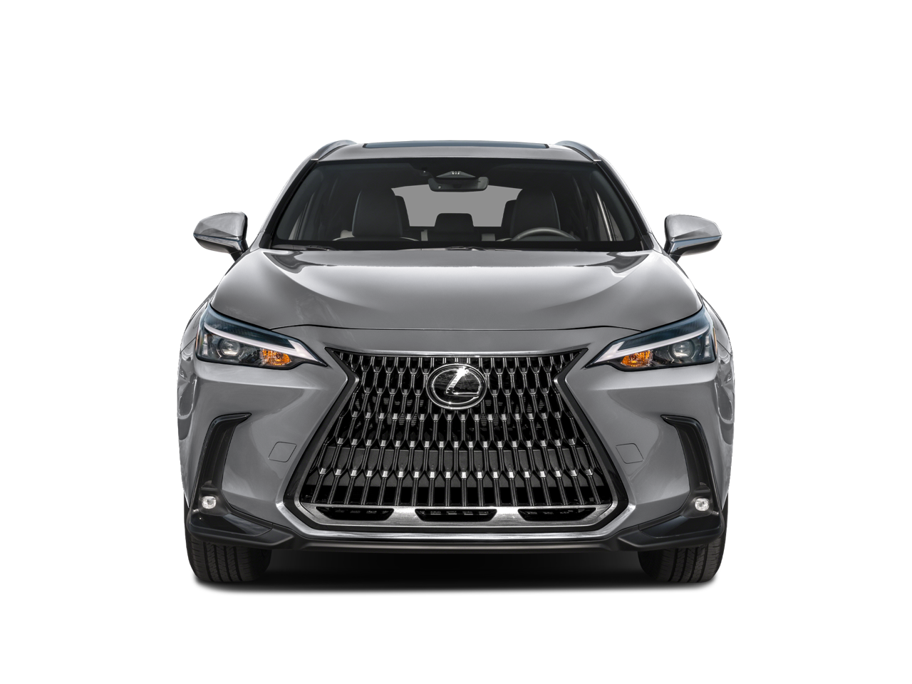 2025 Lexus NX NX 250